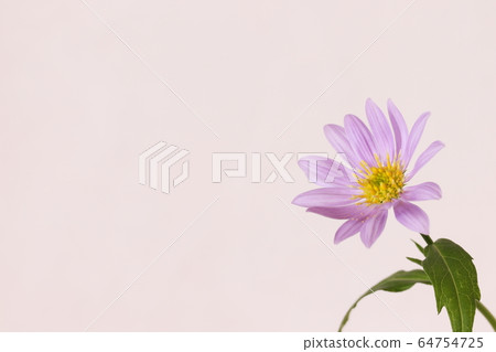 Forgetfulness 64754725