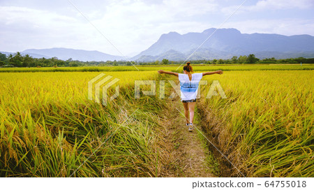 Asian women travel Rice fields Golden yellow On the mountains in the holiday. Asian women travel Rice fields Golden yellow On the mountains in the holiday. 64755018