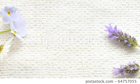 Spring flowers close-up 64757055