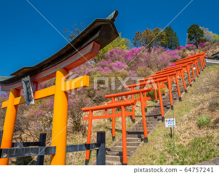 天橋立Seifune天文台 64757241