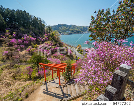 天橋立Seifune天文台 64757262