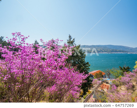 天橋立Seifune天文台 64757269