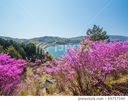 Amanohashidate Seifune Observatory Amanohashidate Seifune Observatory 64757340