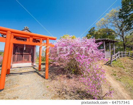 Amanohashidate Seifune Observatory Amanohashidate Seifune Observatory 64757341