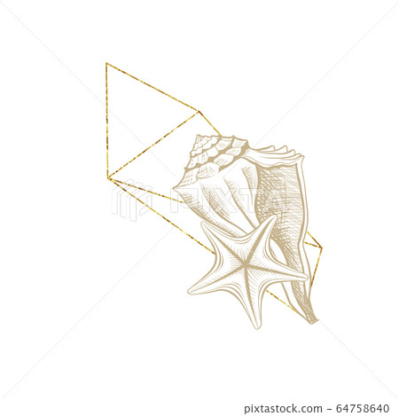 Marine sea shell line art, golden frame wreath 64758640