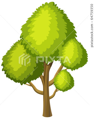 One big tree on white background 64759350