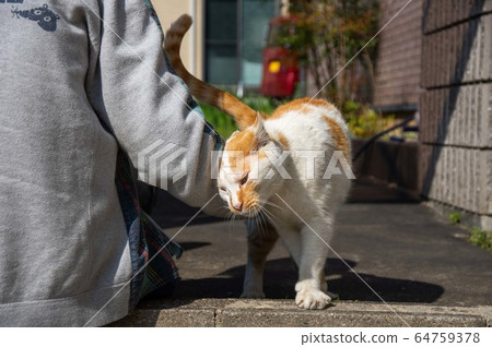 一個人和一個動物 一個人和一個動物 64759378