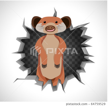 Cute meerkat coming out of cracked wall 64759529