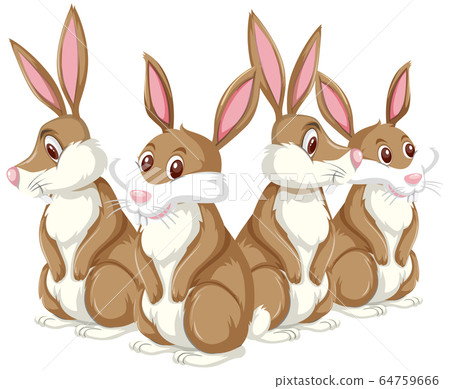 Brown bunnies on white background 64759666