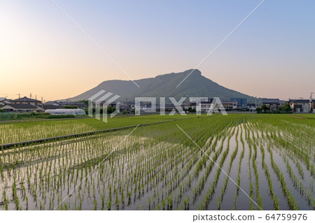 Yashima reflection 64759976