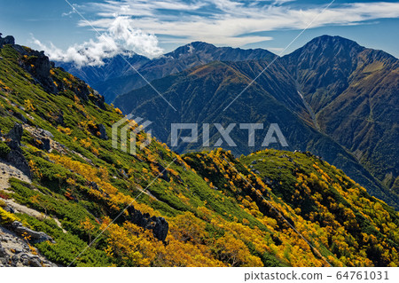 南部阿爾卑斯山的鳳凰山和下午的白樺山的樺木黃葉 64761031