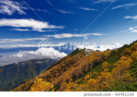 Mt. Fuji and yellow leaves of Betula birch seen from the ridgeline of Mt. Mt. Fuji and yellow leaves of Betula birch seen from the ridgeline of Mt. 64761130