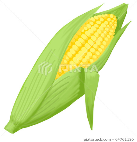 玉米 64761150