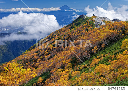Yellow leaves of Jizodake and Betula birch seen from the ridgeline of Mt. Phoenix and Kannondake 64761285