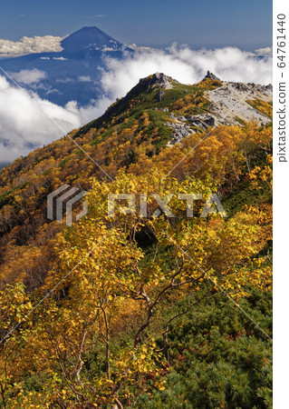 從鳳凰山和觀音山看白樺山和富士山的黃葉 64761440
