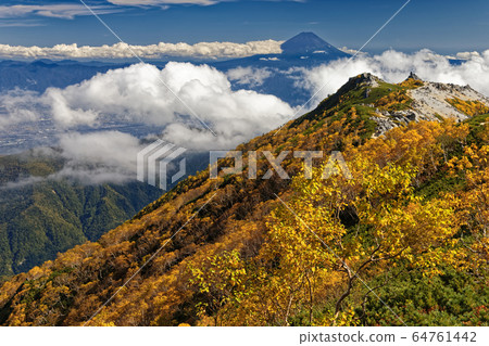 Yellow leaves of Mt. birch and Mt. Fuji seen from Mt. 64761442