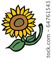 Sunflower 64761543