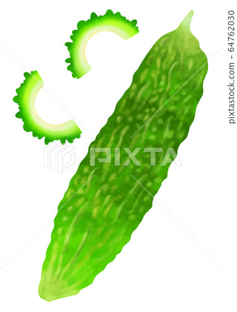 苦瓜 苦瓜 64762030