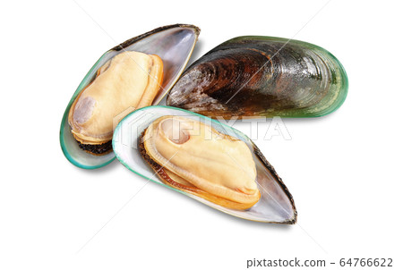 Two raw New Zealand mussels Two raw New Zealand mussels 64766622