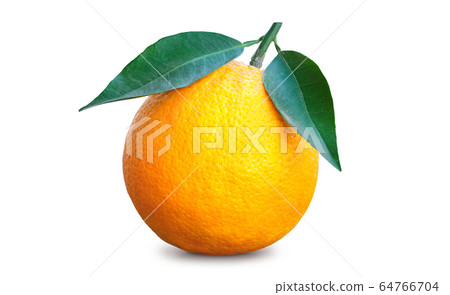 Ripe whole orange with two leaves Ripe whole orange with two leaves 64766704