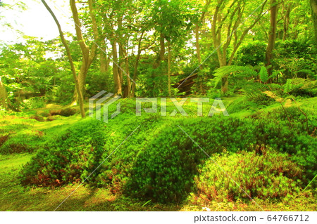 奧克薩加諾的ion園寺(京都烏京區)的寧靜綠色世界 奧克薩加諾的ion園寺(京都烏京區)的寧靜綠色世界 64766712