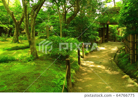 奧克薩加諾的ion園寺(京都烏京區)的寧靜綠色世界 奧克薩加諾的ion園寺(京都烏京區)的寧靜綠色世界 64766775