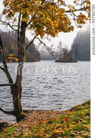 Mountain alpine autumn misty morning lake Mountain alpine autumn misty morning lake 64766780