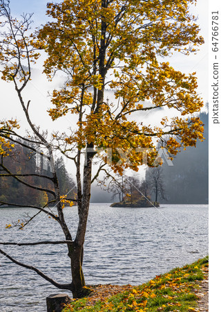 Mountain alpine autumn misty morning lake Mountain alpine autumn misty morning lake 64766781