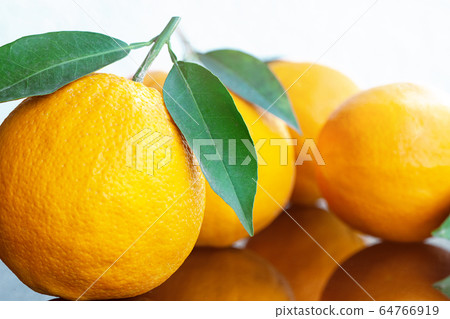 fresh ripe oranges with leaves fresh ripe oranges with leaves 64766919