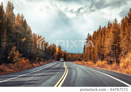 Asphalt highway in colorful autumn forest and 64767572