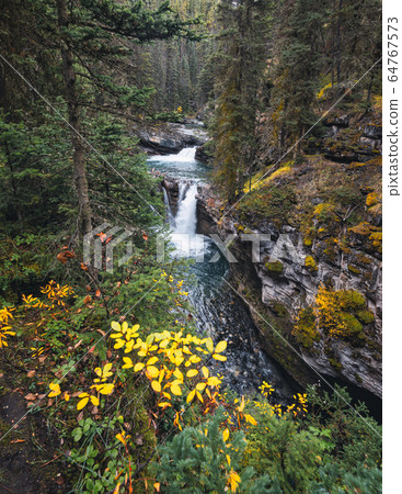Johnston Canyon upper falls flowing in deep forest 64767573