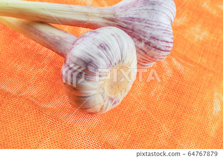 pair of garlic lilac ripe mature and strongly pair of garlic lilac ripe mature and strongly 64767879