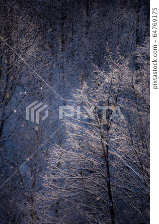 大自然的奧秘鑽石粉的閃光 64769175