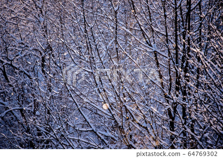大自然的奧秘鑽石粉的閃光 大自然的奧秘鑽石粉的閃光 64769302