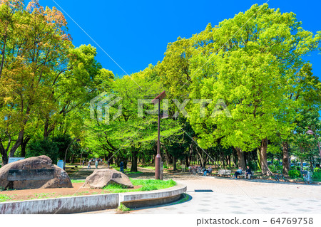 東京春天比丘丘公園 東京春天比丘丘公園 64769758