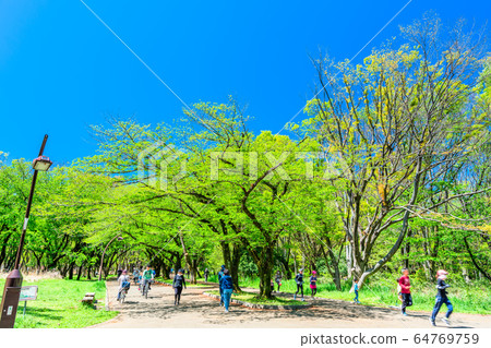 東京春天比丘丘公園 東京春天比丘丘公園 64769759