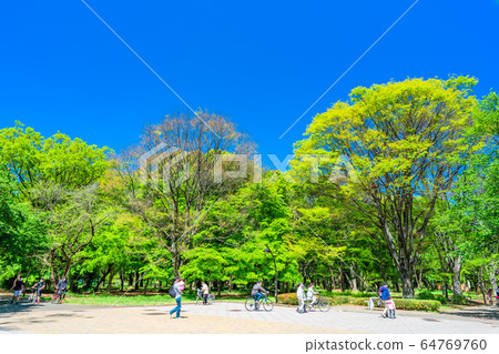 東京春天比丘丘公園 東京春天比丘丘公園 64769760