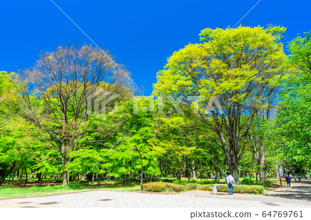 東京春天比丘丘公園 東京春天比丘丘公園 64769761