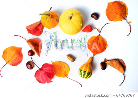 Autumn card in a frame with fallen leaves Autumn card in a frame with fallen leaves 64769767