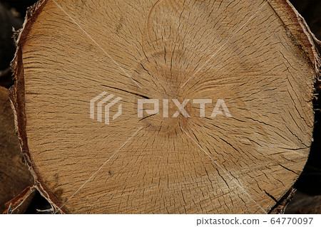 background wooden texture light beige, log old 64770097