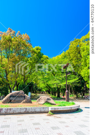 Tokyo Spring Hikarigaoka Park Tokyo Spring Hikarigaoka Park 64770110