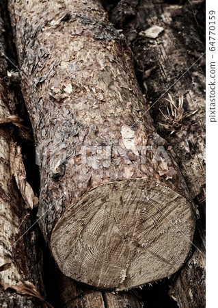 sawn pine trunk toned sawmill design closeup sawn pine trunk toned sawmill design closeup 64770159