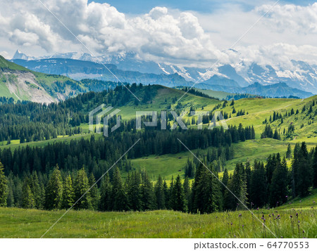 Typical summer mountains Switzerland landscape Typical summer mountains Switzerland landscape 64770553