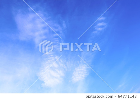 Blue sky with white clouds that form the face of a tiger. Concept landscape, abstraction. 64771148