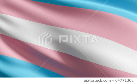 Transgender Flag Community Lgbt Worldwide Which Stock Illustration