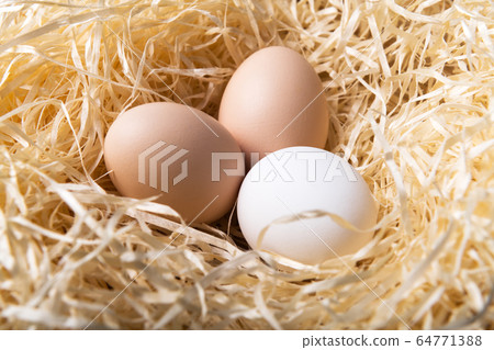 Organic chicken eggs in nest closeup 64771388