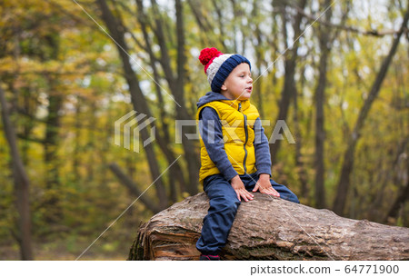 A little boy sits on a fallen tree trunk 64771900
