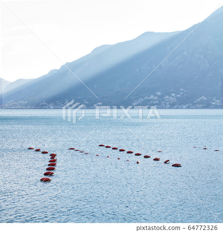 Fish farm Fish farm 64772326