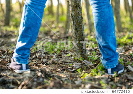 man peeing on a tree in the woods man peeing on a tree in the woods 64772410