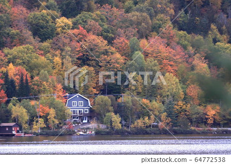 Montréal Blanc National Park, Lorenchian Plateau, Quebec, Canada Montréal Blanc National Park, Lorenchian Plateau, Quebec, Canada 64772538